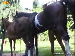 Extreme horse porn with a hot amateur chick